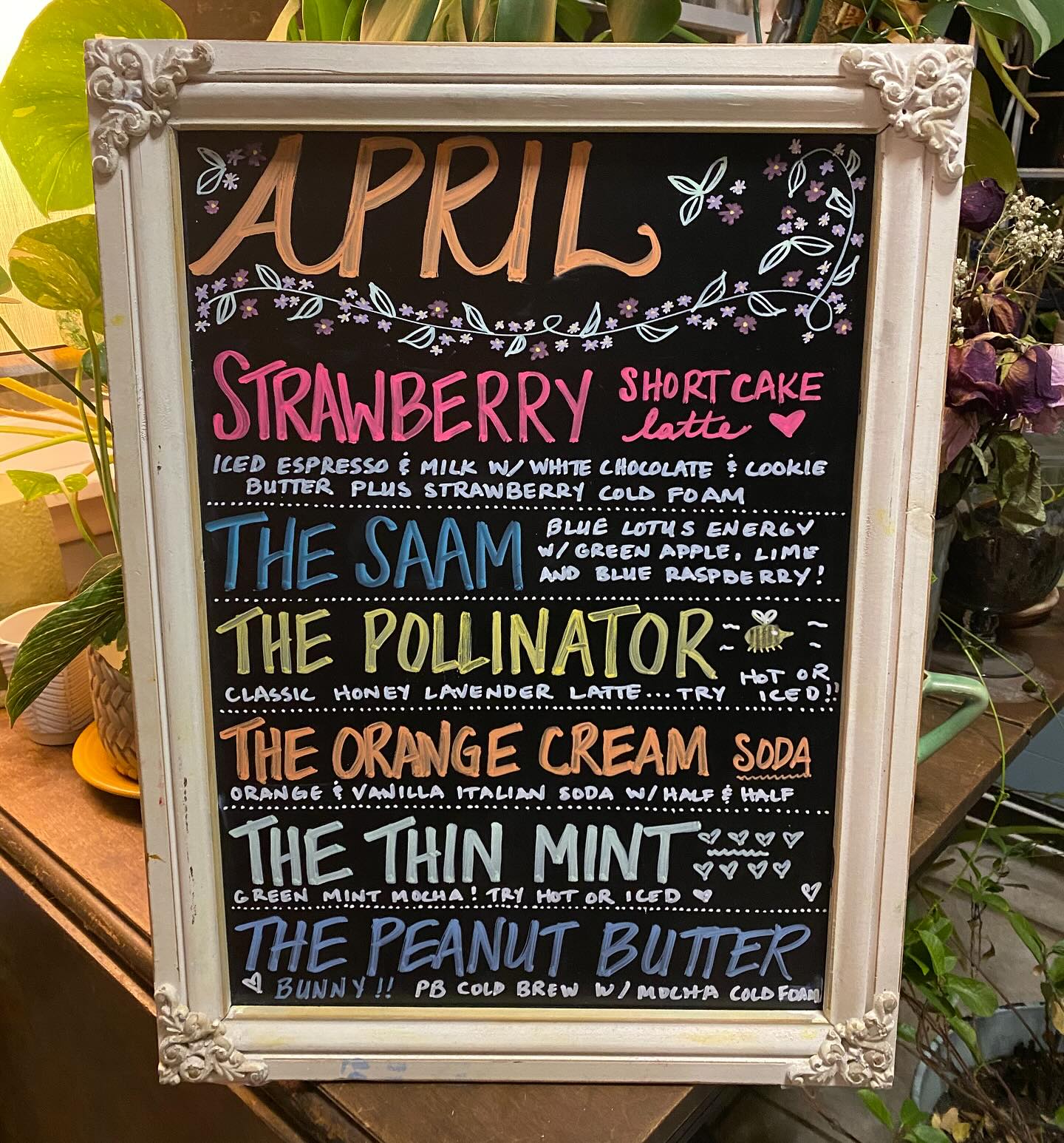 Monthly Specials