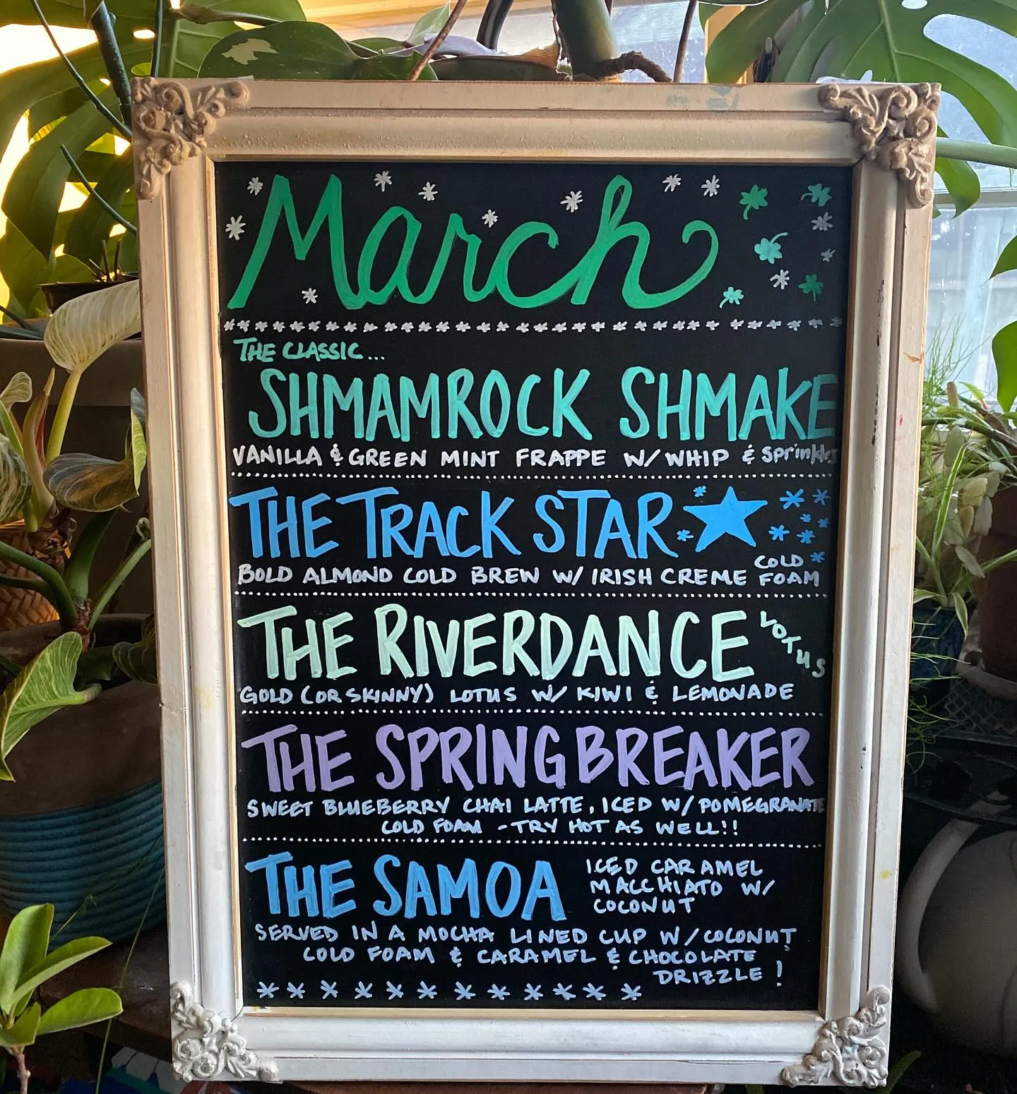 March 2025 Specials