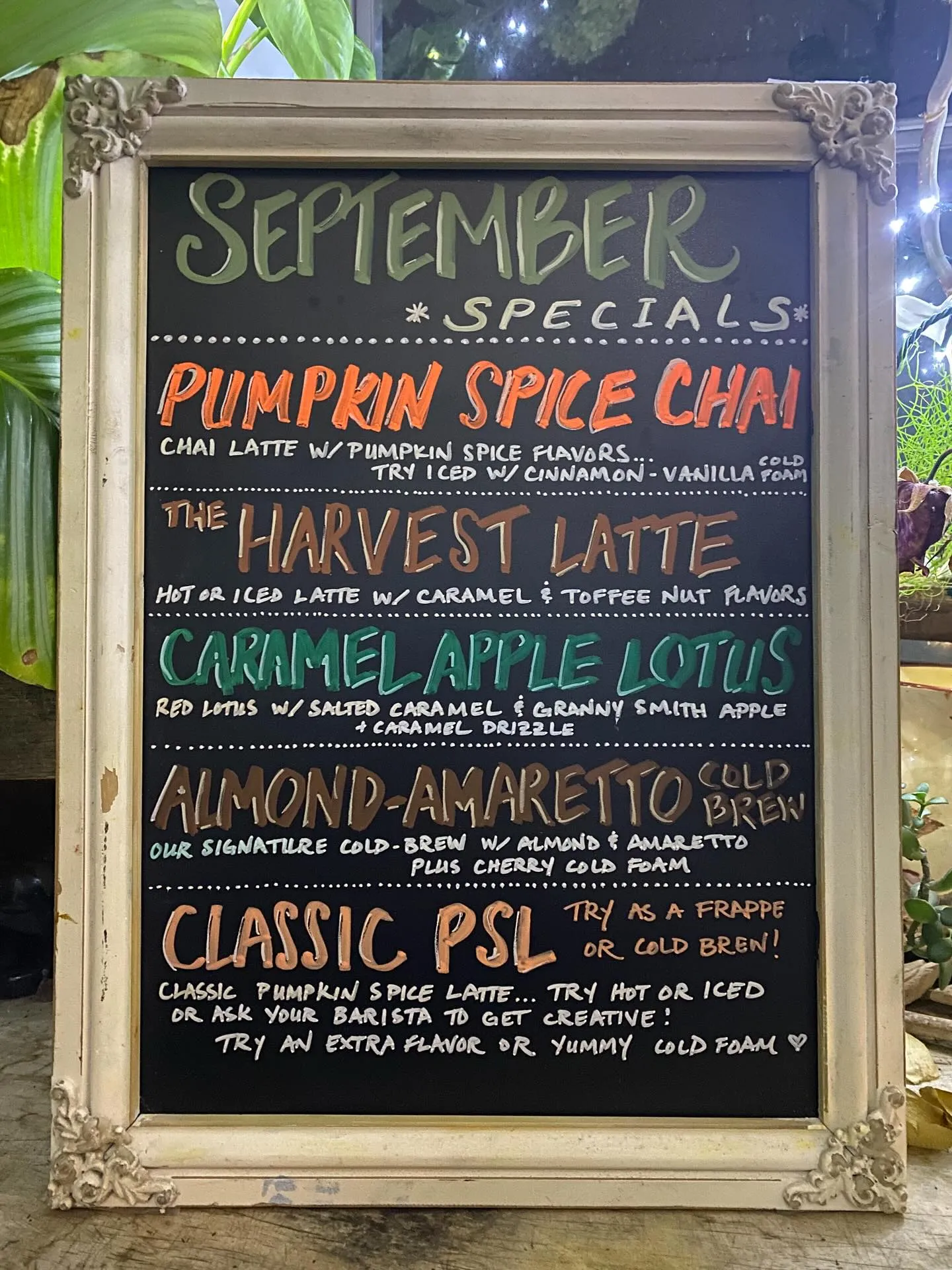 September Specials